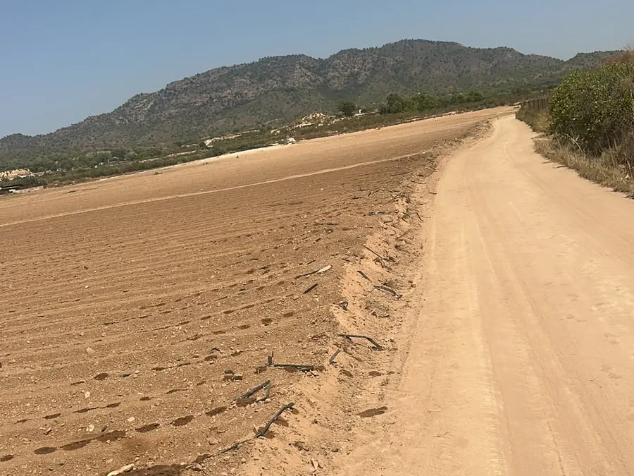 Fincas junto a la sierra murciana
