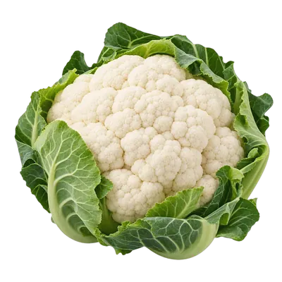Coliflor fresco al por mayor