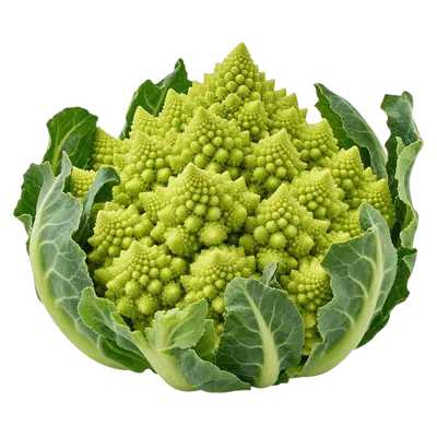 Romanesco fresco al por mayor